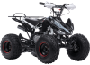 Квадроцикл BSE XT-1 BLACK