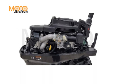 Подвесной лодочный мотор PARSUN F9.9 BMS