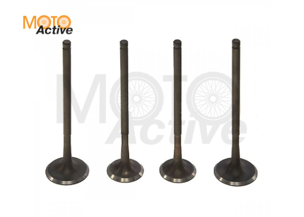 Клапаны (компл. 4шт) 4T двиг. ZS174MN-3 (CBS300)