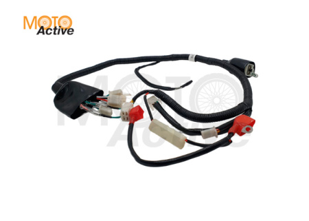 Жгут проводки Regulmoto SEVEN, SEVEN MEDALIST