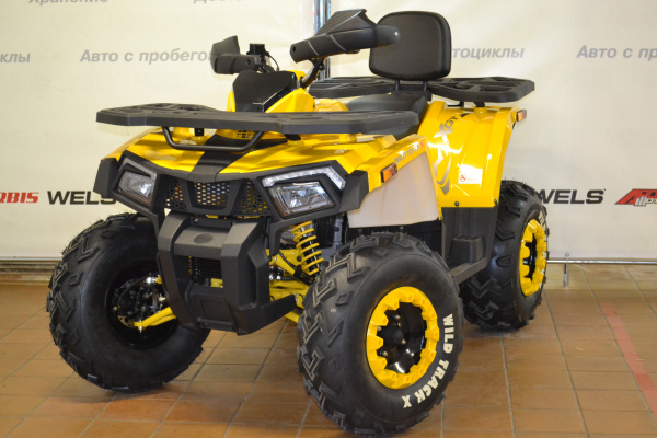 Запчасти для 200 WILD TRACK X