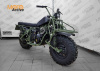 Мотовездеход ATV2x2 (Vanguard 203) B7 версия 2