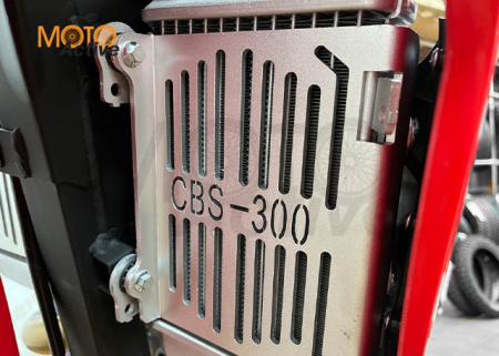 Мотоцикл REGULMOTO CR-Z 300 ( с ПТС) красный-синий