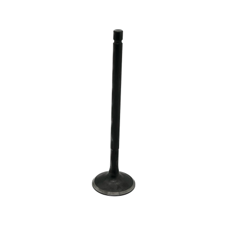 Клапан впускной (6Cr21Mn10MoVNbN) BSE TYX300