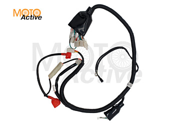 Жгут проводки Regulmoto SEVEN, SEVEN MEDALIST