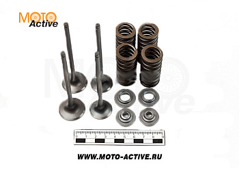 Клапаны ГРМ 170MM-2 CB250 water 4V 177MM (компл 2 шт)