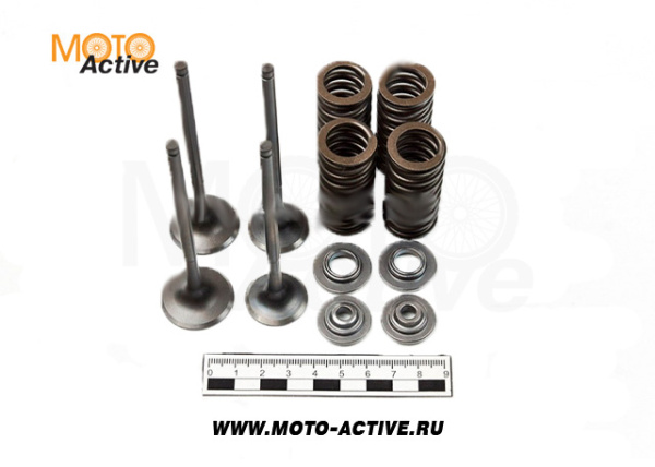 Клапаны ГРМ 170MM-2 CB250 water 4V 177MM (компл 2 шт)