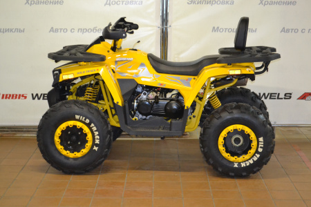 Запчасти для 200 WILD TRACK X