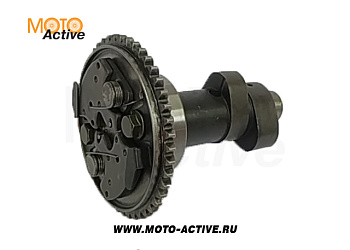 Вал распределительный (в сборе со звездочкой и подшипником), опция