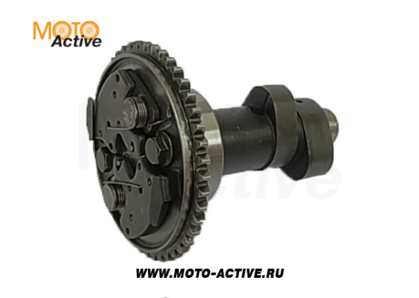 Вал распределительный (в сборе со звездочкой и подшипником), опция