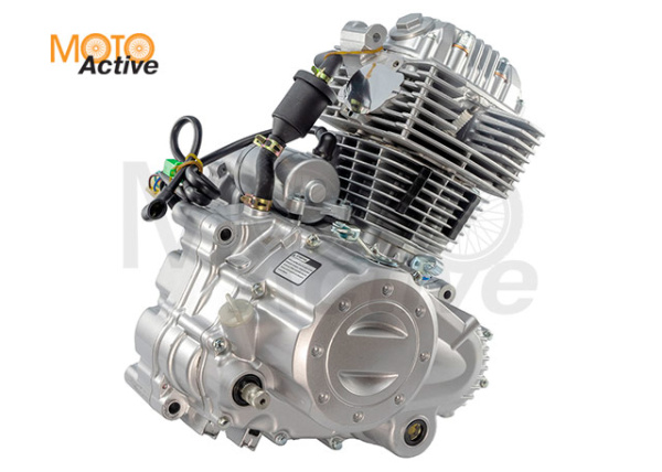 Двигатель в сборе ZS 165FMM ( CBB250) 223см3, возд. охл., электростартер, балансир, 5 передач