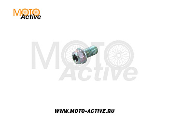 Болт М6х12 Trox T8