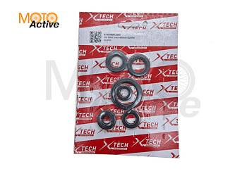 Сальник (полный набор) 153FMI 125см3 X-TECH