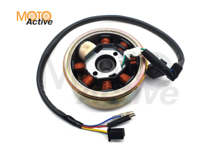 Генератор в сборе WELS EVOX200