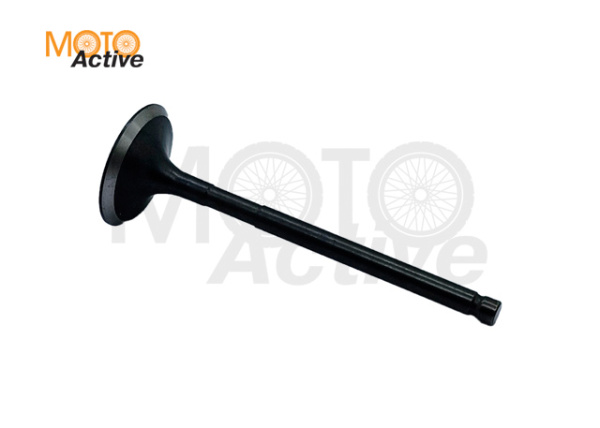 Клапан впускной WELS EVOX200 (263084001001)