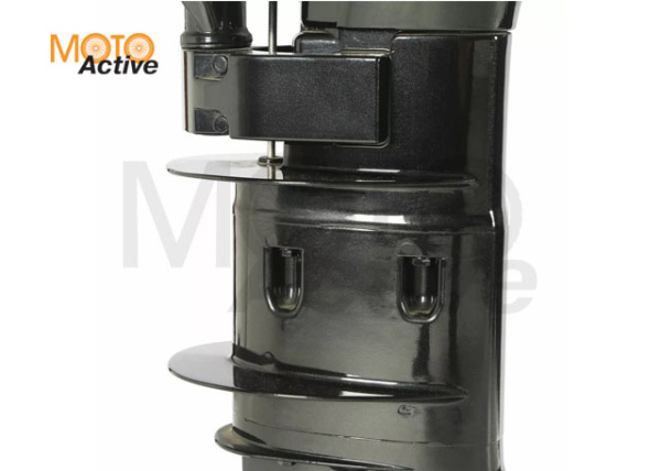 Подвесной лодочный мотор PARSUN F9.8 BMS