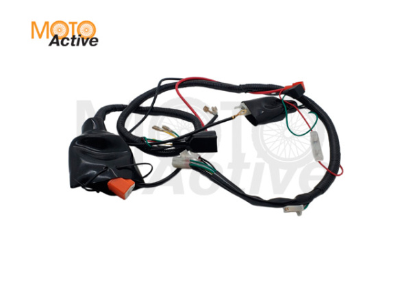 Жгут проводки  TTR250