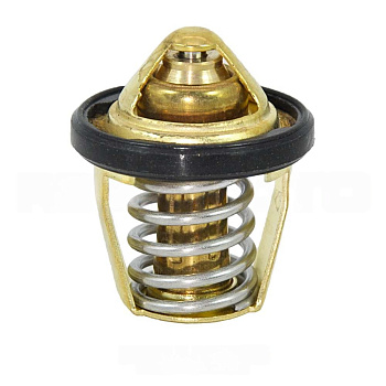 Термостат с крышкой NB300