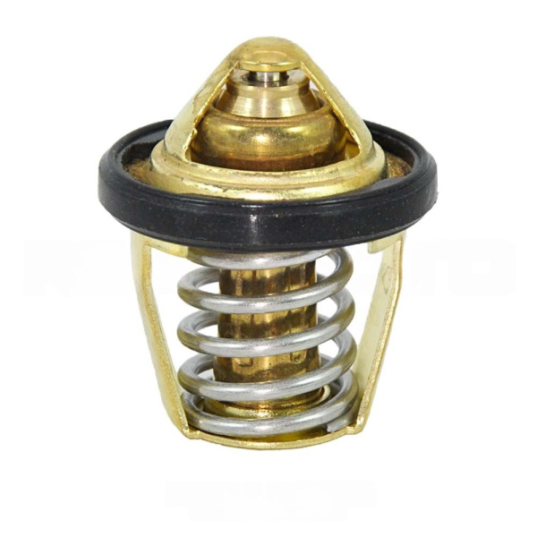 Термостат с крышкой NB300