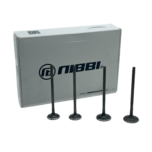 Клапаны (компл. 4шт) NIBBI облегченные ZS177MM (NC250, NC300)