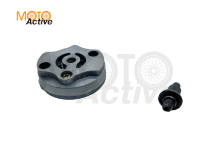 Насос маслянный в сборе WELS EVOX200 (263092001001)