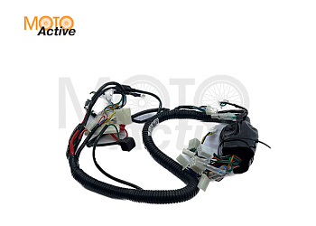 жгут электропроводки MX 250 R