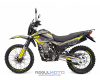 Мотоцикл Regulmoto Grizzly PR300 с ПТС