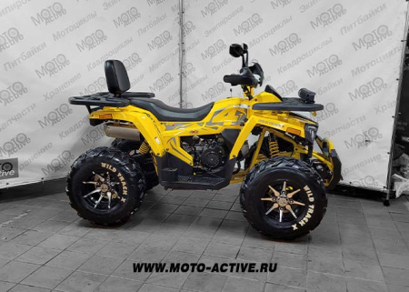 Запчасти для 200 WILD TRACK X PRO лебедка