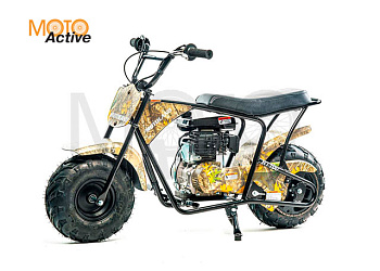 Мотоцикл Motoland  RT100