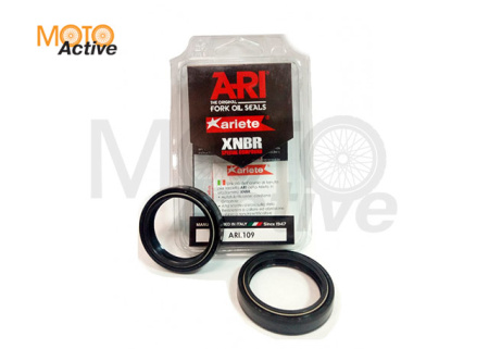Сальники передней вилки (комплект) ARI.109