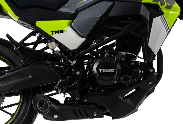 TMBK MONTANA Grey Green