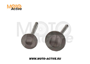 Клапаны (компл. 2шт) 152FMH 110см3 X-TECH