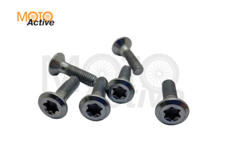 Болты задней звезды (компл. 6шт) GR500
