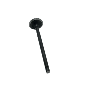 Клапан выпускной (6Cr21Mn10MoVNbN) BSE TYX300