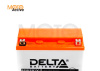 CT12201 Delta Аккумуляторн. батарея