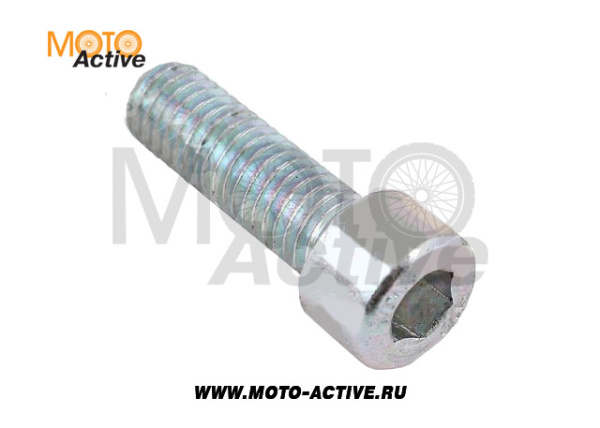 Болт М8х25 верхнего крепления руля GR2