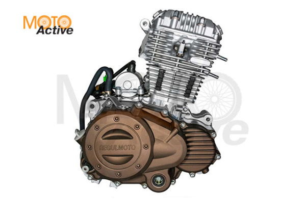 Двигатель CBB200 (ZS165FMM)