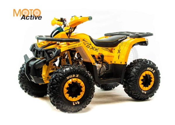 Комплект пластика (п) 125 WILD X баланс. вал.