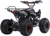 Квадроцикл BSE XT-1 BLACK