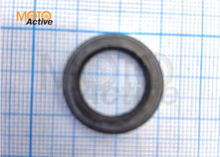 Сальник 15.5х22.5х3 WELS RT (319014002001)