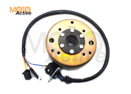 Генератор в сборе WELS EVOX200