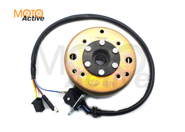 Генератор в сборе WELS EVOX200