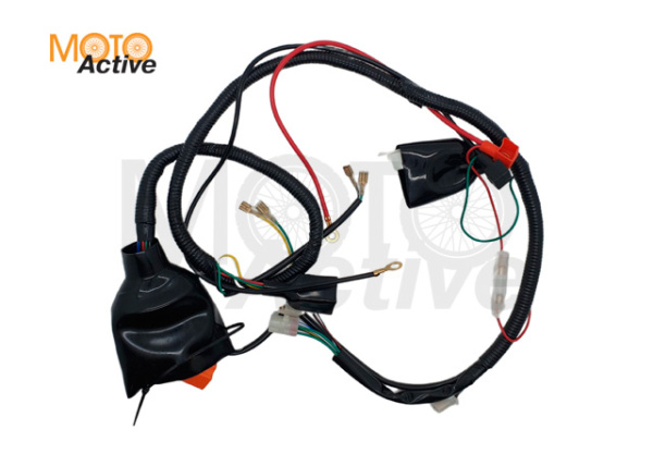 Жгут проводки  TTR250