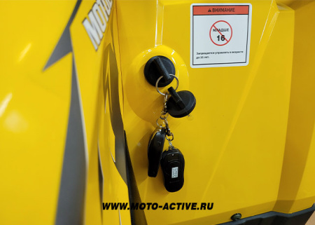 Запчасти для 200 WILD TRACK X PRO лебедка