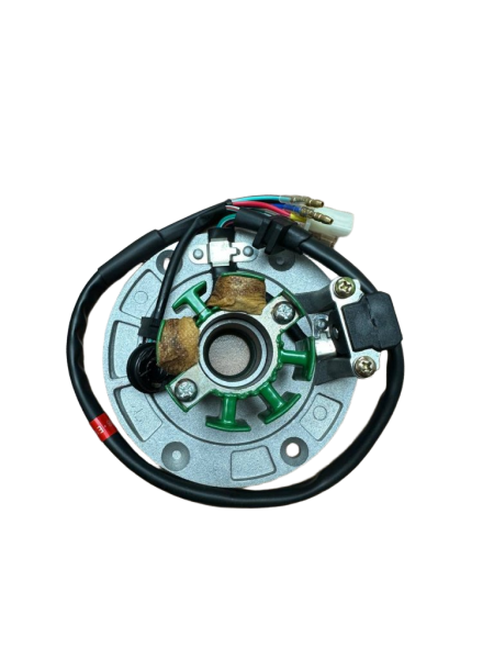 Статор генератора KAYO двиг. ZS155 см3 (P060504) CN