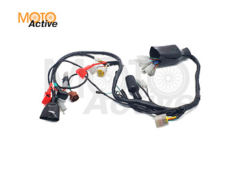 Жгут электропроводки Regulmoto CR-Z 300