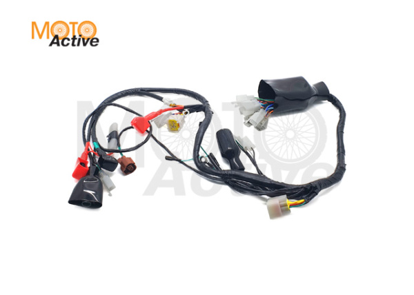 Жгут электропроводки Regulmoto CR-Z 300