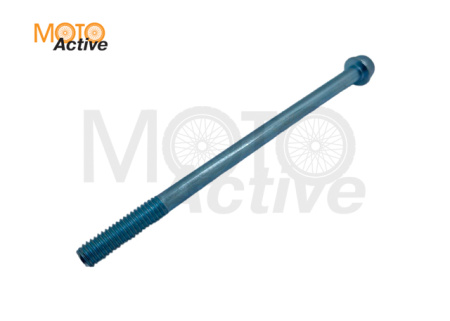 Болт М6х100 WELS EVOX200 (263264001001)