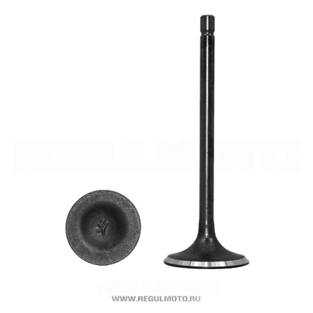 Клапаны впуск/выпуск SK200-20/ SK200-6,  Raptor 250