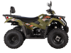 Квадрицикл KAYO AU300 Carb ПТС
